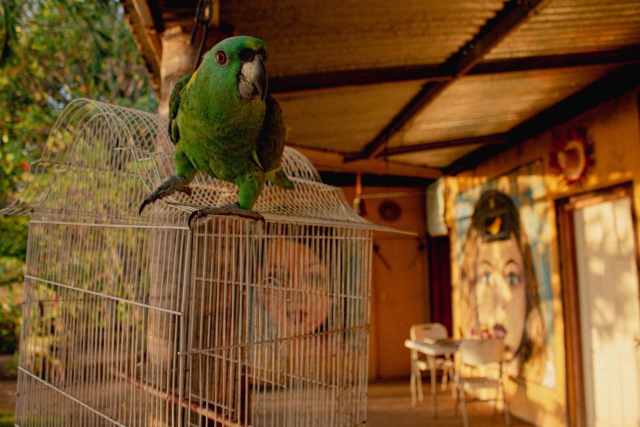 Appartamento La Casa Del Artista Esquipulas Esterno foto